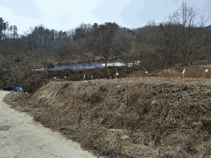 충청남도 공주시 의당면 청룡리 산51