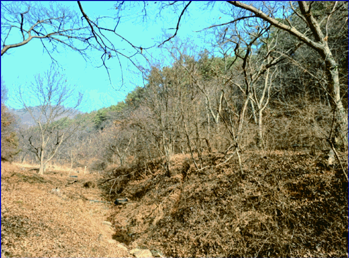 충청남도 공주시 정안면 장원리 213-2