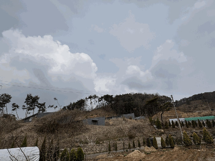 충청남도 청양군 정산면 신덕리 산17-4 에이동
