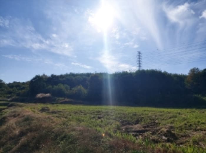 충청남도 당진시 송악읍 석포리 351-20