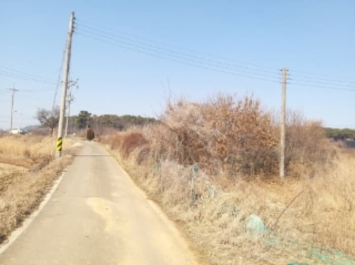 충청남도 당진시 송악읍 중흥리 492-8