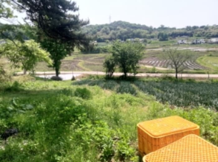충청남도 당진시 송악읍 가학리 286-5