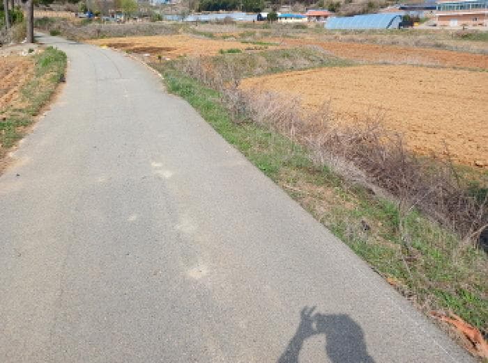 충청남도 당진시 석문면 삼봉리 116-5