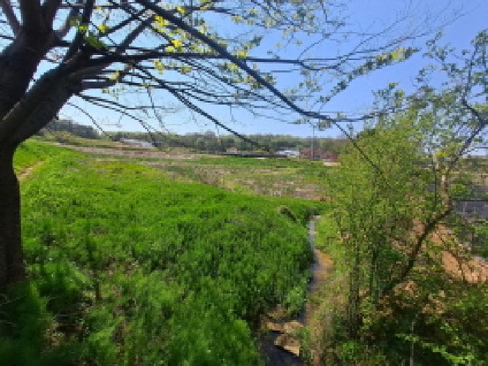 충청남도 당진시 송악읍 금곡리 188