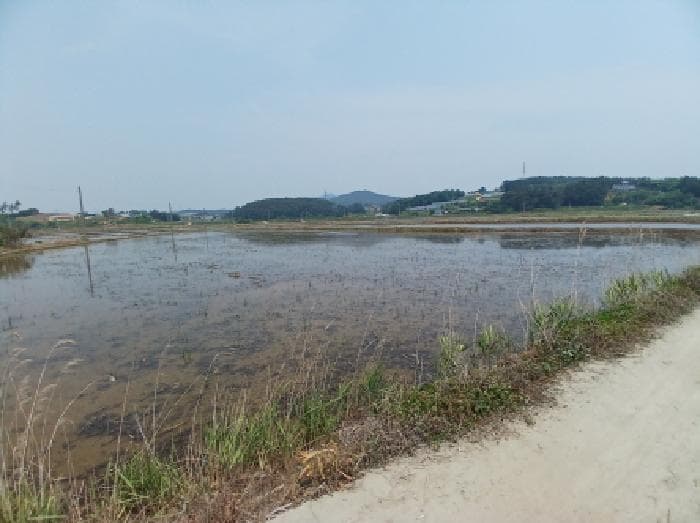 충청남도 서산시 지곡면 환성리 694-40