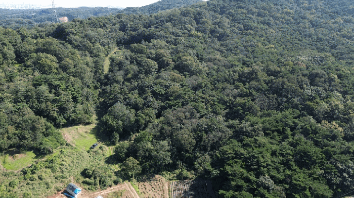 충청남도 당진시 송악읍 월곡리 380-6