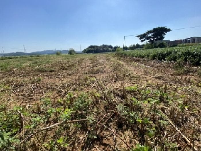 충청남도 당진시 송악읍 고대리 148