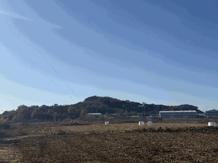 충청남도 당진시 석문면 삼화리 산104-3