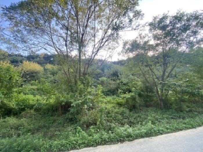 충청남도 당진시 송악읍 가교리 594-8