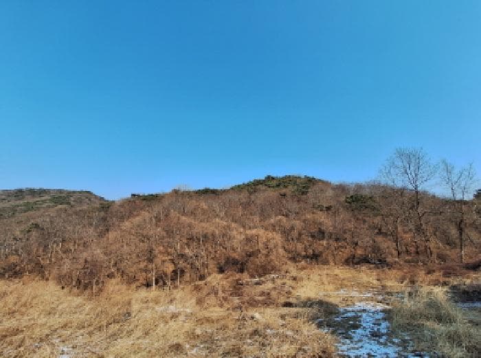 충청남도 당진시 석문면 난지도리 172-1