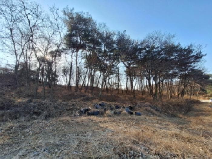 충청남도 당진시 고대면 성산리 968-4