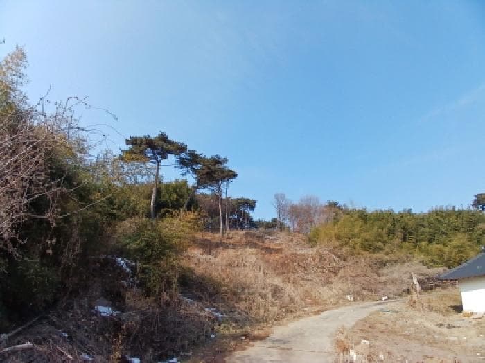 충청남도 당진시 석문면 장고항리 158