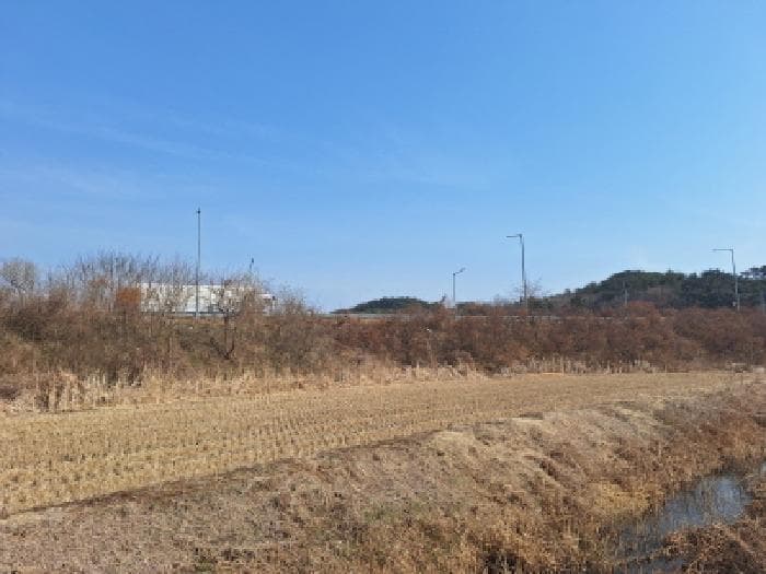 충청남도 당진시 석문면 삼봉리 1081-38