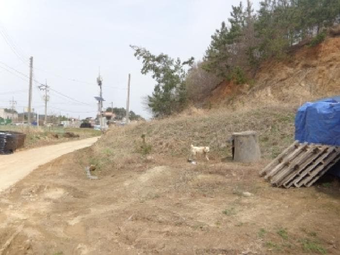 충청남도 태안군 이원면 내리 665-74