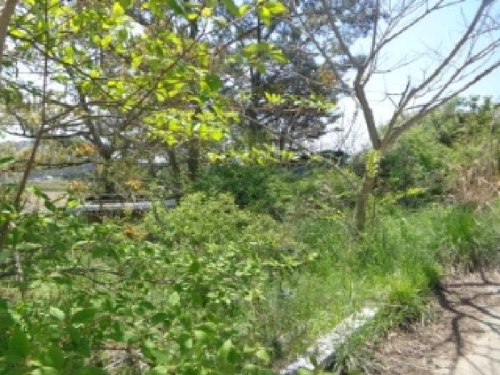 충청남도 태안군 원북면 청산리 259-35