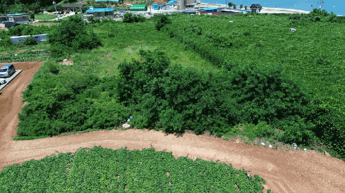 충청남도 당진시 석문면 교로리 100-2