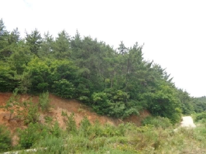 충청남도 태안군 이원면 내리 547-3