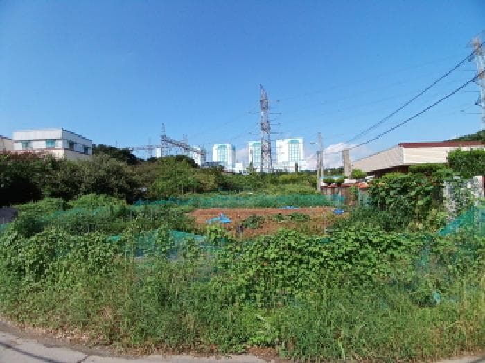 충청남도 당진시 석문면 교로리 919-1