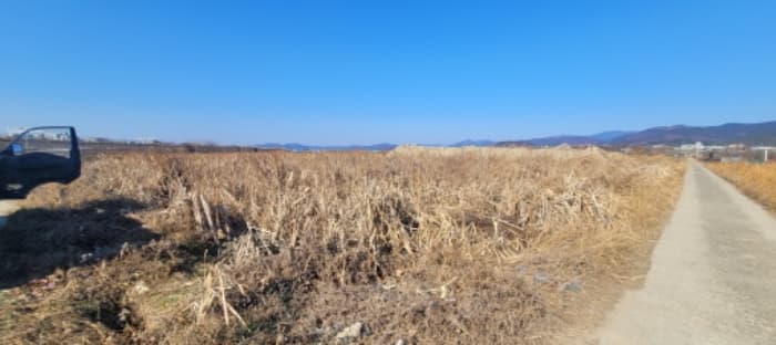 대구광역시 동구 신평동 396