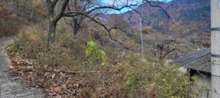 경상북도 청도군 매전면 송원리 1112