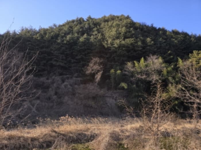경상북도 영천시 북안면 고지리 산113