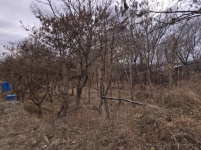 경상북도 경산시 와촌면 섬마을길 185-1