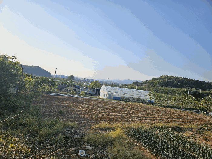 대구광역시 수성구 매호동 531-1