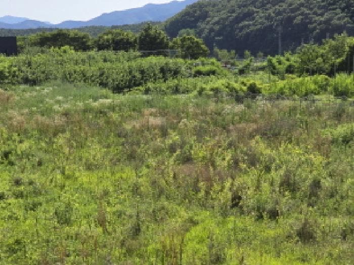 경상북도 영천시 화북면 자천리 501