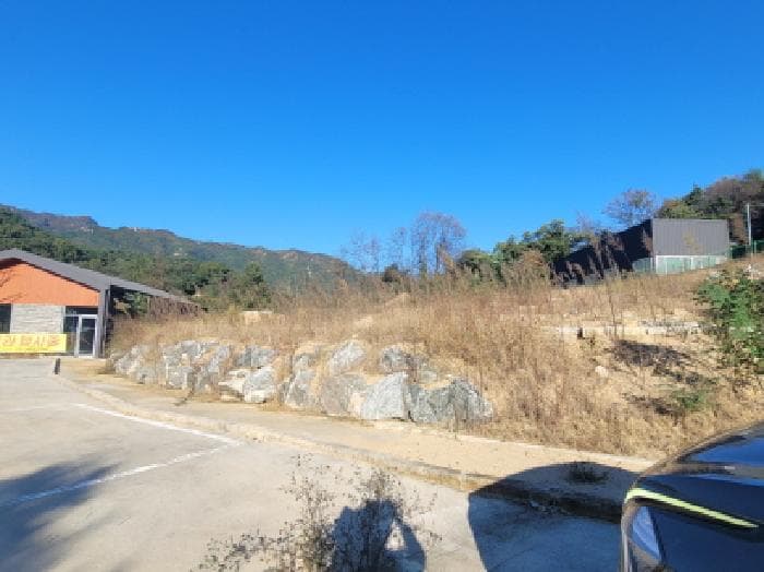 대구광역시 동구 진인동 산203-6