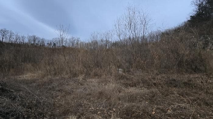 경상북도 칠곡군 기산면 영리 1003