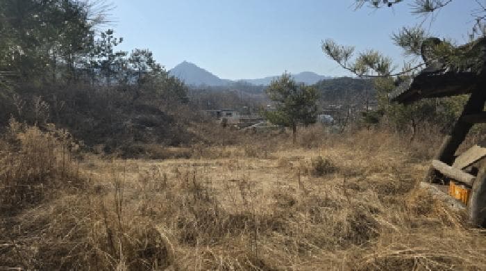 경상북도 칠곡군 약목면 남계리 1055-49