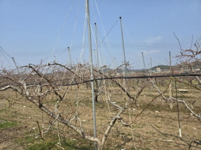 경상북도 영천시 임고면 덕연리 279