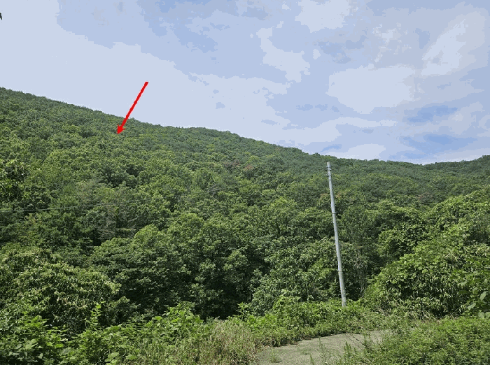 경상북도 청도군 이서면 문수리 산146