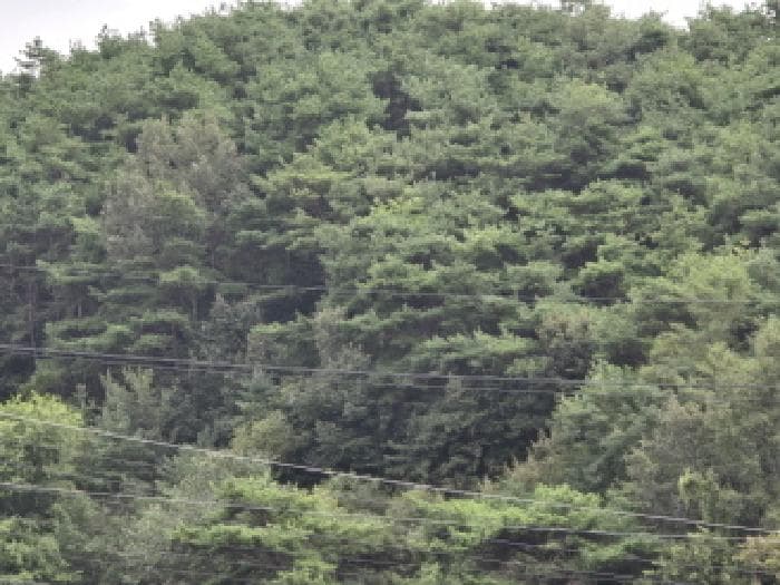 경상북도 영천시 화산면 효정리 120