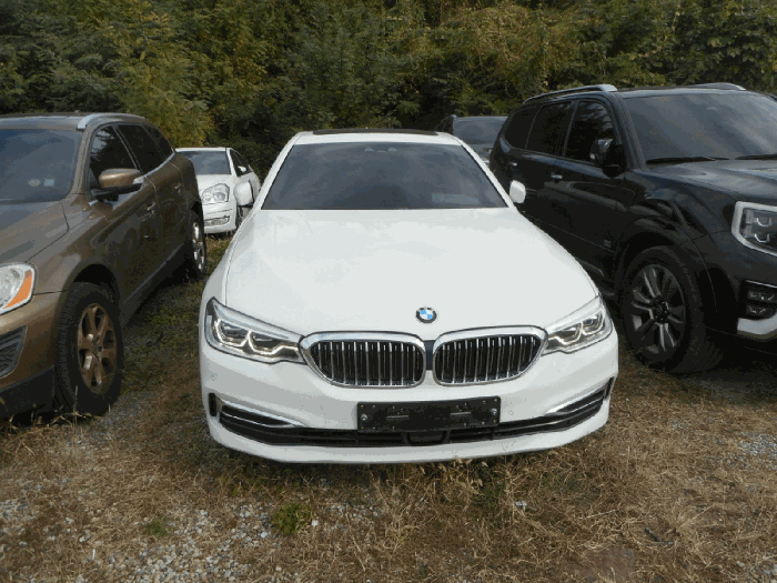 - BMW 520d Luxury 2019년식
