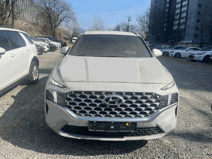 현대자동차(주) 싼타페(SANTAFE) 2021년식