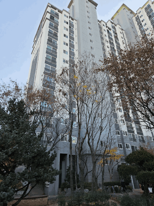 대구광역시 남구 이천동 452 교대역월드메르디앙 104동 7층708호