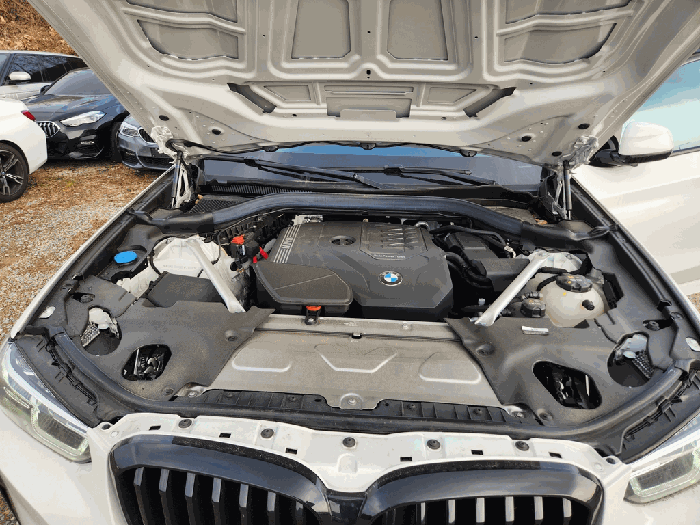 BMW BMW X4 xDrive 20i 2024년식