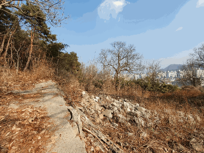 대구광역시 북구 서변동 1082