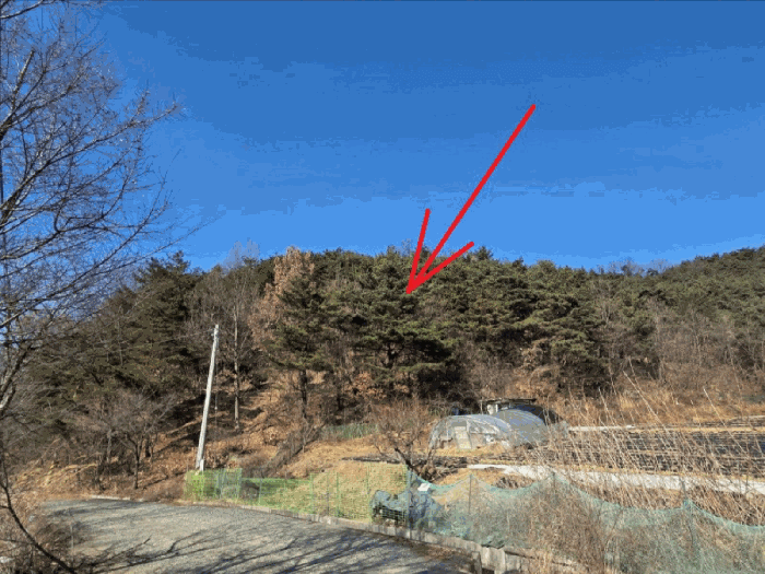 경상북도 칠곡군 가산면 학하리 산22