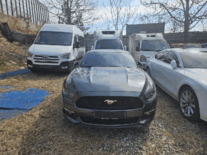 포드 mustang 2.3 coupe 2017년식
