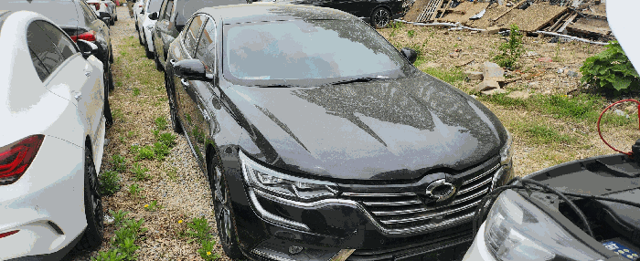 르노삼성 SM6 2019년식