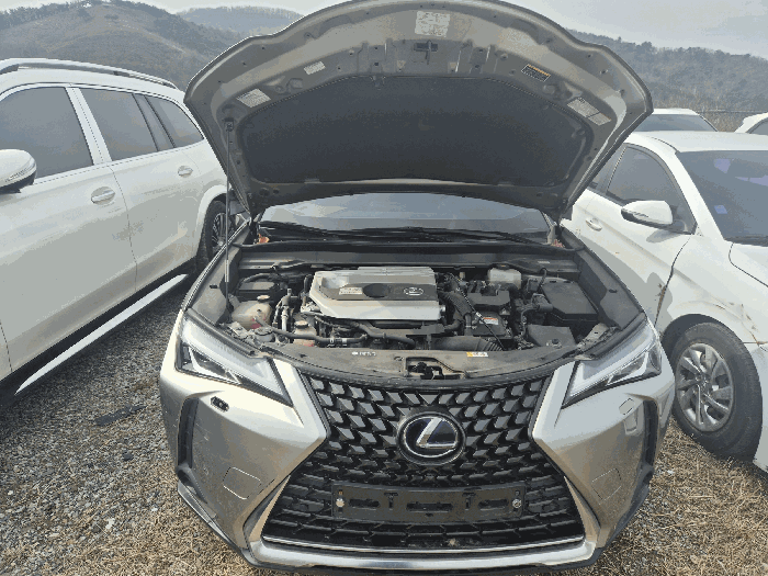  렉서스 UX250h 2WD 2019년식
