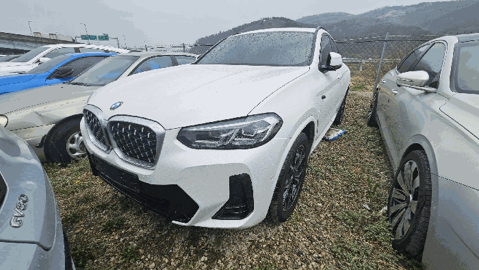 BMW BMW X4 xDrive20i 2023년식