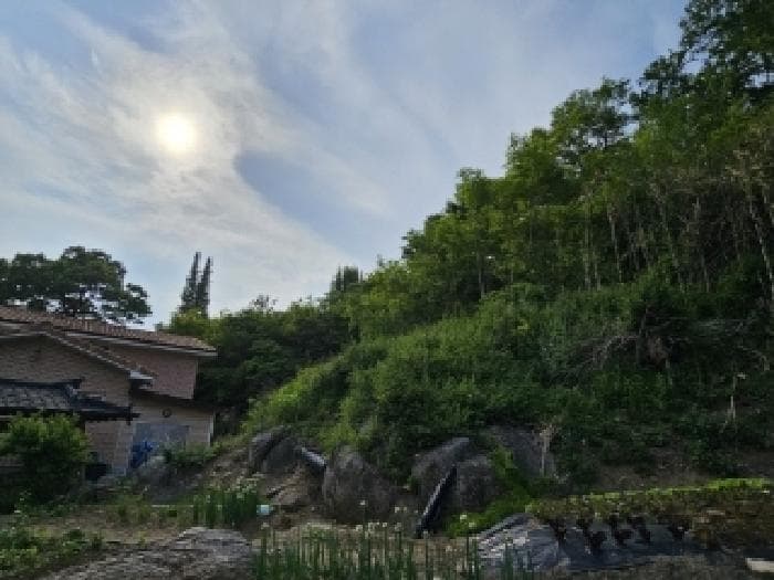 경상북도 봉화군 봉화읍 거촌리 530