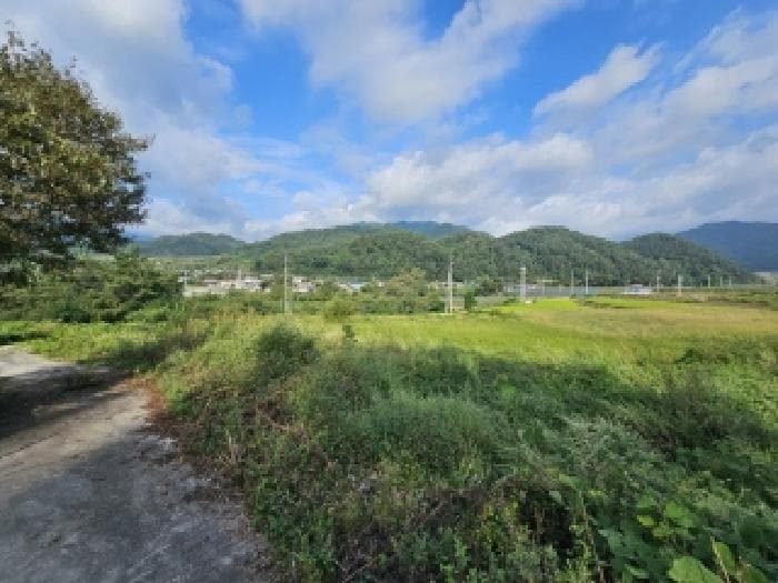 경상북도 영주시 순흥면 태장리 288