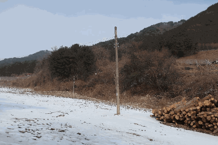 경상북도 봉화군 춘양면 서벽리 871
