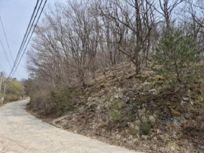 경상북도 경주시 산내면 내일리 산448-3