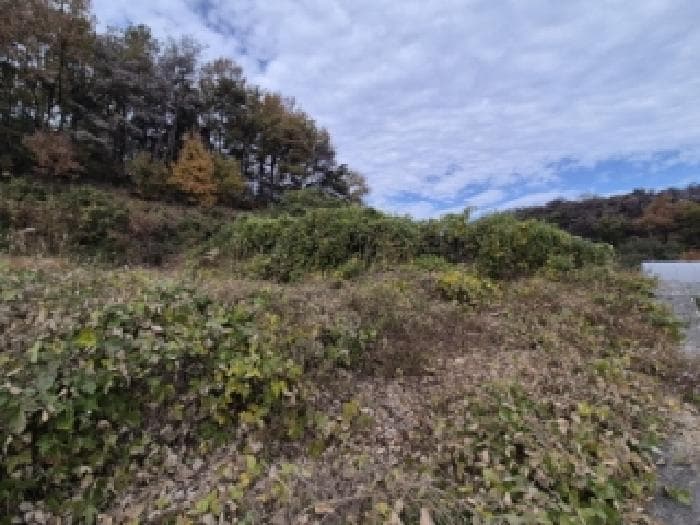 경상북도 경주시 외동읍 죽동리 586