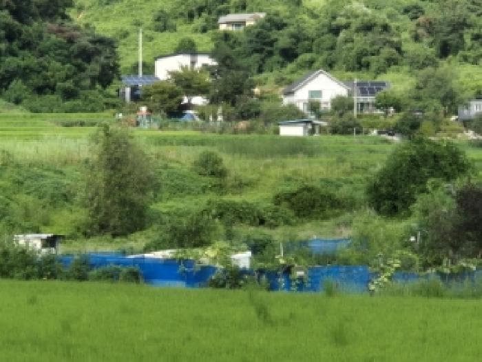 경상북도 경주시 양남면 상계리 235